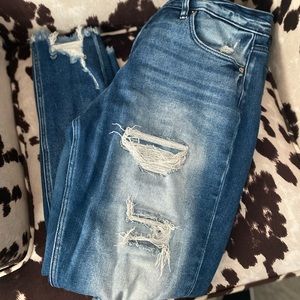 Distressed Curvy Skinny Jeans